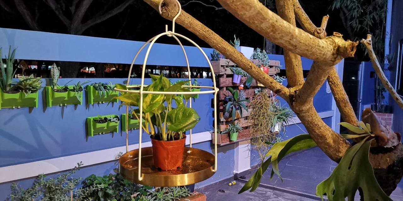 Oneriimba Private Pool & Garden Residence Джохор-Бару Екстер'єр фото